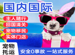 昌都邦达航空托运国际宠物托运 【国